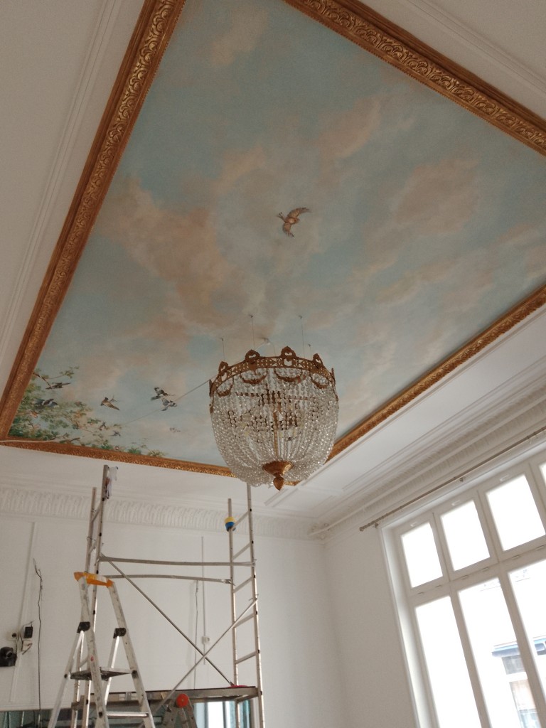 Deco plafond oiseaux